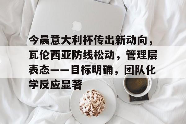 今晨意大利杯传出新动向，瓦伦西亚防线松动，管理层表态——目标明确，团队化学反应显著的简单介绍-开云官网
